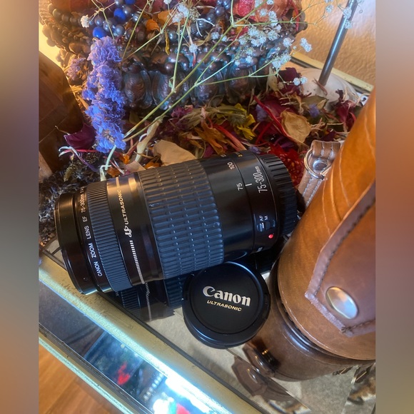 Canon EF 75-300 mm ultrasonic f/4-5.6 lens - Picture 3 of 8